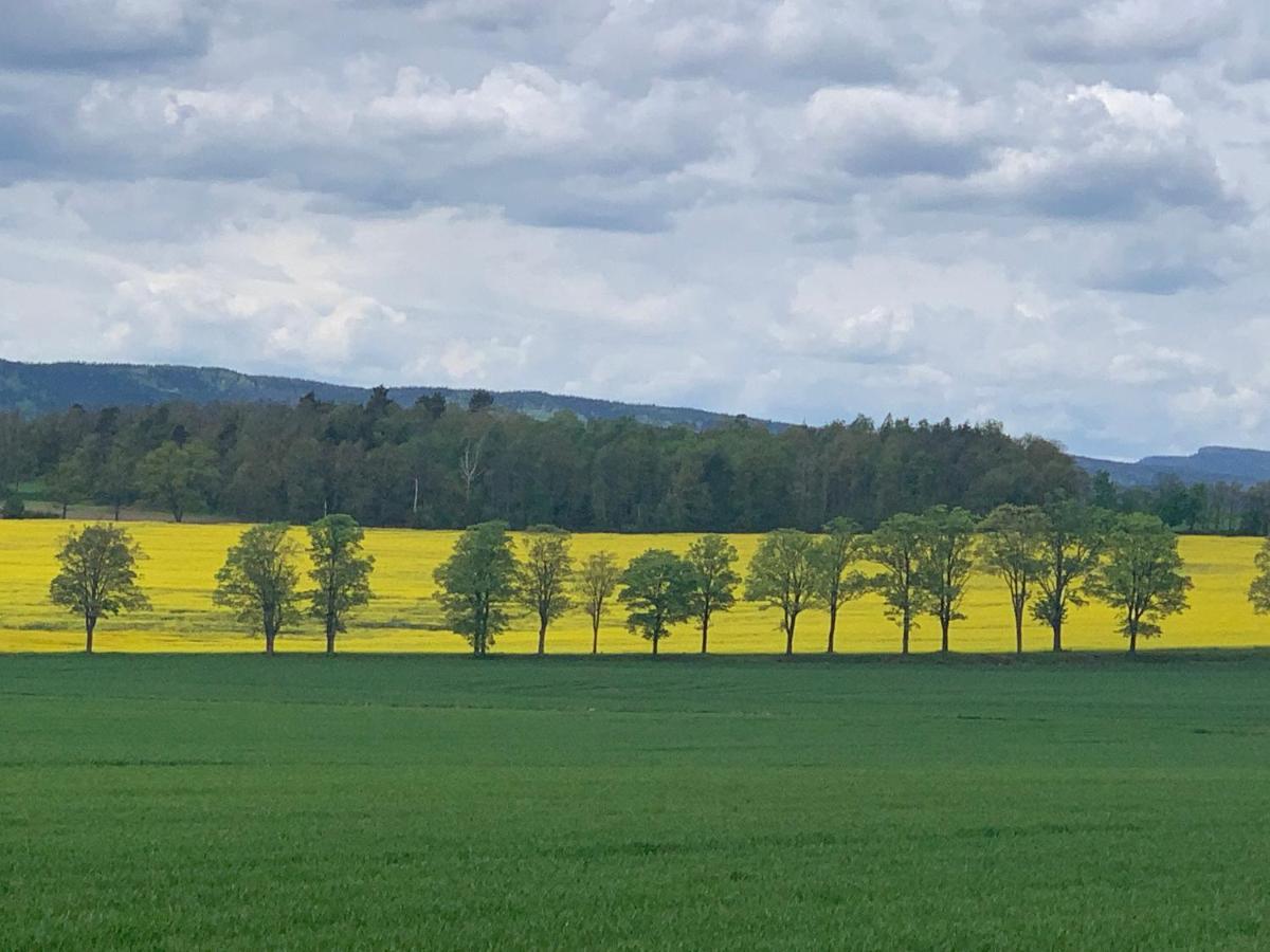 Vila Dom Na Wzgorzu Polanica-Zdrój Exteriér fotografie